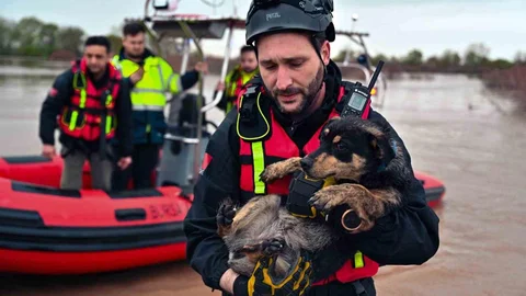 Bursa'da Mahsur Kalan Köpekler Kurtarıldı