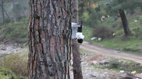 Altın Değerindeki Künara Güvenlik Önlemi