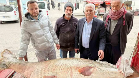 Diyarbakır’da Dev Turna Balığı Satışı