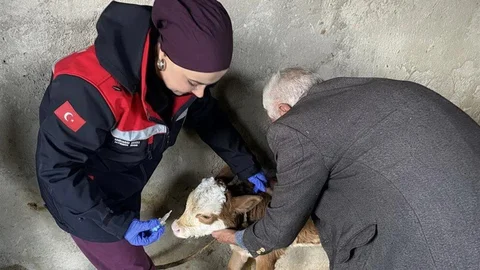 Zoonoz Hastalıklarına Karşı Aşılama Devam Ediyor