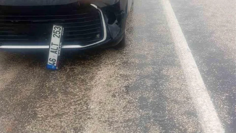 Bilecik'te Köpek Kazaya Neden Oldu