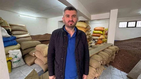 Düşen Fındık Fiyatları Giresun'da Merak Ediliyor
