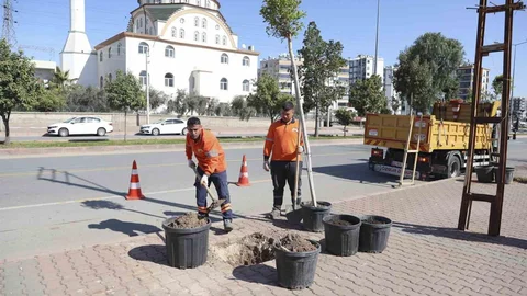 Mersin'de Ağaçlandırma Seferberliği Başladı