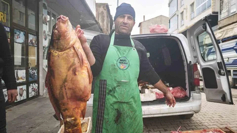 Ahlat'ta Dev Sazan Balıklarına İlgi Var