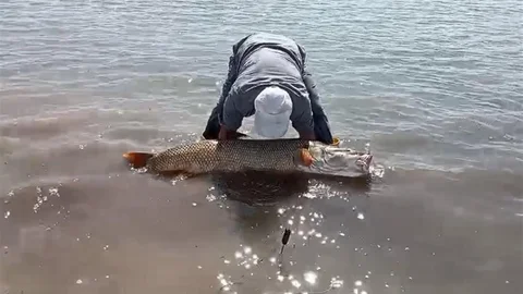 Elazığ'da Dev Turna Balığı Yakalandı