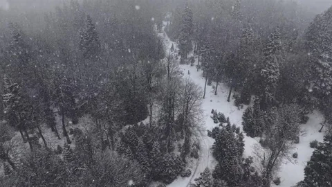 Düzce'de Kar Kalınlığı 1 Metreyi Aştı