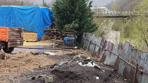 Kocaeli'de Hayvansal Atık Bırakan Çiftlikler Tespit Edildi