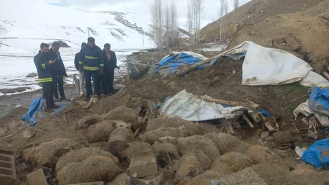 Van'da Ahır Çökmesi Olayı