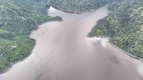 Aydın'da Barajlar Canlandı