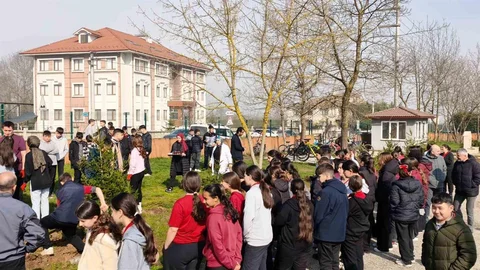 Düzce'de Fidan Dikme Etkinliği
