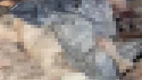 Bozüyük'te Barınak Skandalı Devam Ediyor