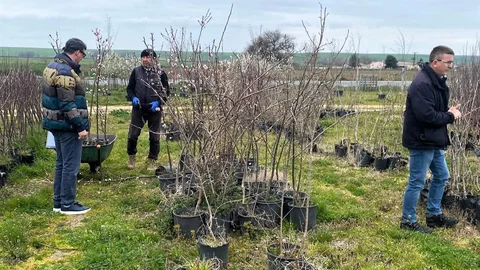 Lüleburgaz'da Fidan Satış Denetimi