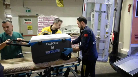 Taciz Mağduru Genç Kızın Organları Dağıtıldı