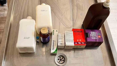 Bilecik'te Hayvan Barınağında Skandal Gelişme