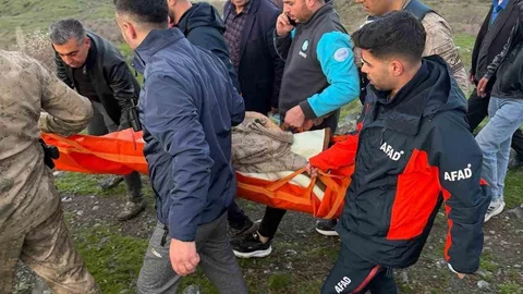 Siirt'te Kaybolan Çocuk Bulundu