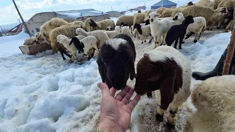 Aydınlar'da İki Mevsim Yaşanıyor