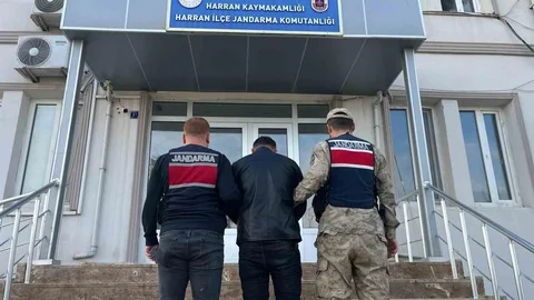 Şanlıurfa'da Hükümlü Yakalandı