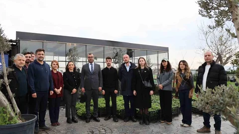 Düzce'de Doğal Ürünler Üzerine Tartışmalar