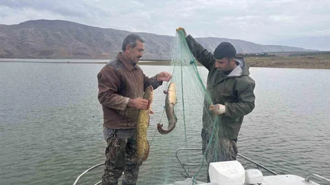 Elazığ'da Su Ürünleri Araştırmaları Devam Ediyor