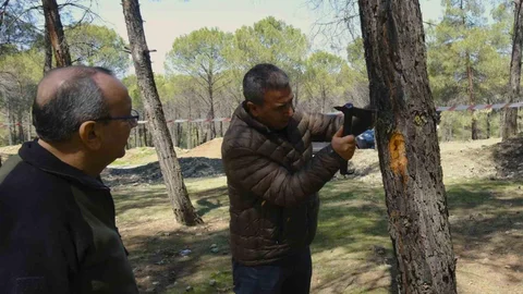 Kahramanmaraş’ta Orman Zararlılarıyla Mücadele İncelemesi