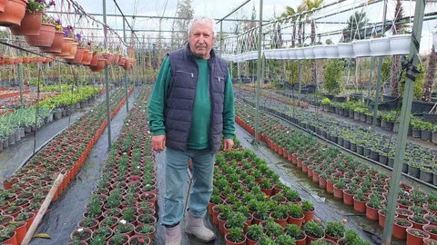 Burhaniye'de Emekli Bankacı Bitki Yetiştiriyor