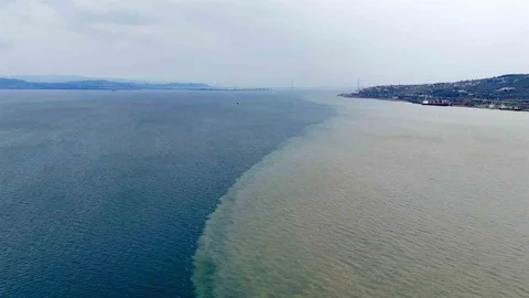 İzmit Körfezi'nde Renk Değişikliği