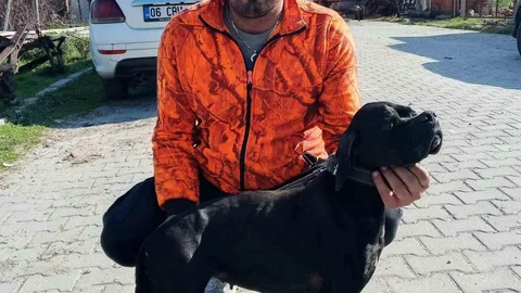 İzmir Çiğli'de İşçi Hayatını Kaybetti