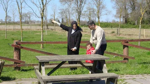 Samsun'da Leylekler Göz Kamaştırıyor