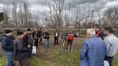 Kütahya'da Meyve Üreticilerine Eğitim Verildi