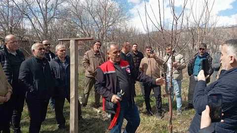 Erzincan'da Çiftçilere Budama Eğitimi Verildi