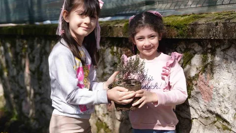 Düzce'de Öğrenciler Yeşil Alanları Öğreniyor