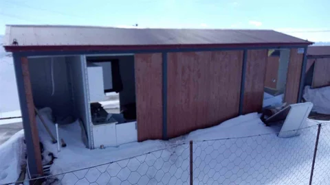 Koca Oğlan Ayılar Engel Tanımıyor