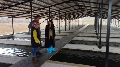 Tercan'da Alabalık Tesisine Denetim Yapıldı