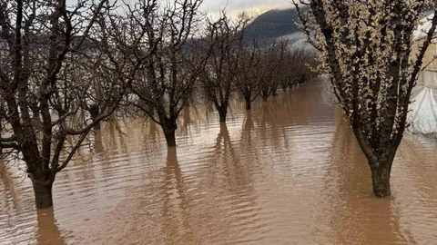 Elmalı'da Tarım Alanları Su Altında Kaldı
