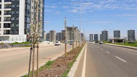 Diyarbakır'da Ağaçlandırma Çalışmaları