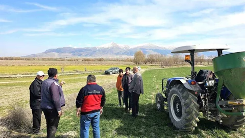 Haşhaş ve Hububatta Kontroller Başladı