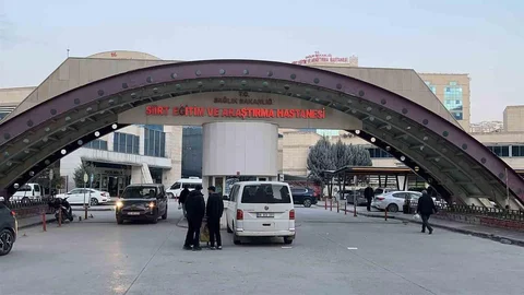 Siirt'te Ağaç Budama Faciası