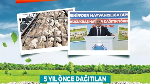 Kayseri'de Kendi Kendini Büyüten Model Başarıyla Uygulanıyor