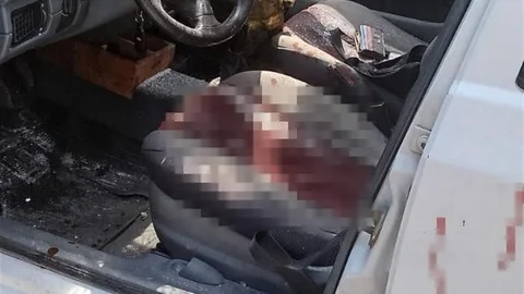 Kocaeli'de Kamyondan Düşen Kütük Kazaya Neden Oldu