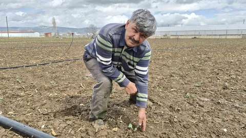 Eskişehir'de İlk Tohumlar Toprakla Buluştu