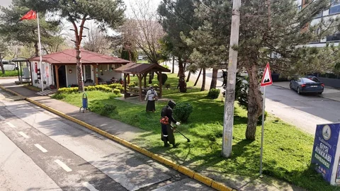 Kartepe'de Yeşil Alan Bakımı Devam Ediyor