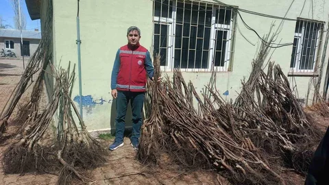 Muradiye'de Fidan Dağıtımı Yapıldı