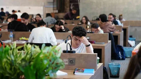 Pancarlı Gençlik Kütüphanesi Gençlerin Yeni Merkezi Oldu