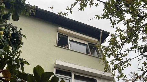 Antalya'da İtfaiye Alarmı Yaratan Kedi