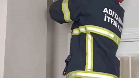 Adıyaman'da Yavru Kediler Kurtarıldı