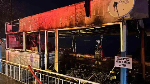 Gece Yarısı Bursa'da Yangın Paniği