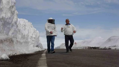 Ardahan Arıcıları Yol Açma Çağrısı Yaptı