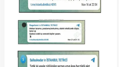İstanbul'da Suç Örgütü Propagandası Gözaltıları