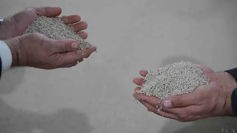 Küresel Gübre Krizine Yerli Çözüm: Samsun'da Üretim Artıyor