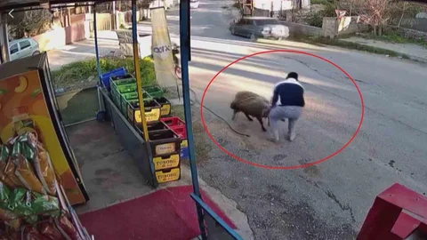 Hatay'da Koyun Kurtarma Anları